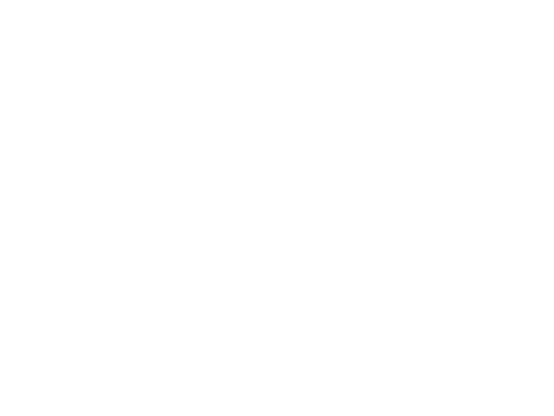 Shanghai International Circuit